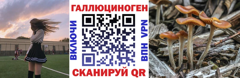 Галлюциногенные грибы ЛСД  закладка  Бодайбо 